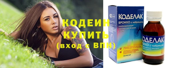 прущие грибы Пролетарск