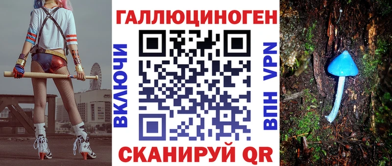 Галлюциногенные грибы Psilocybe Дегтярск
